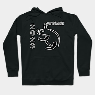 2023 year of rabbit Hoodie